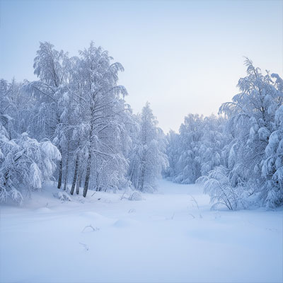 Снежная сказка